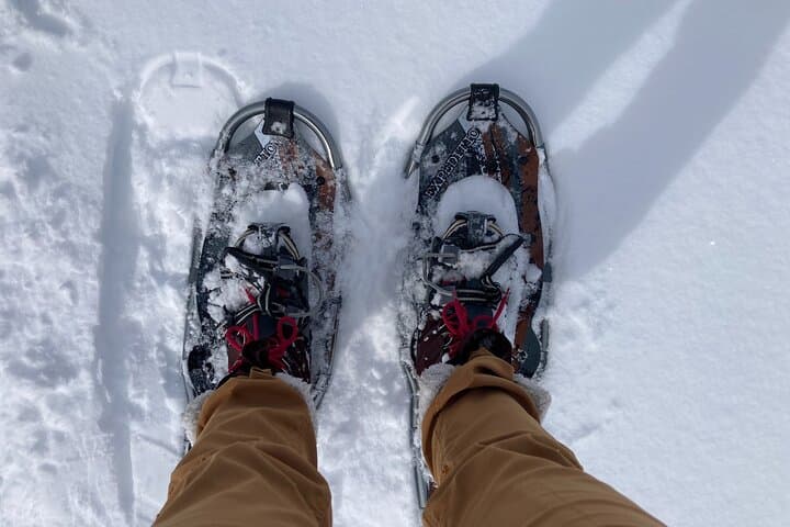 Yellowstone Snowshoe Adventure from Jackson Hole: Winter Wildlife & Waterfalls photo 3