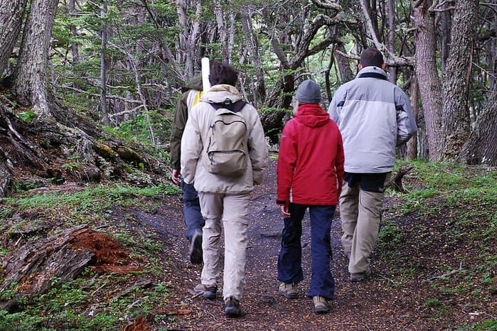 Ushuaia to Lapataia Bay: Scenic Hike and Inflatable Dukies Adventure photo 2