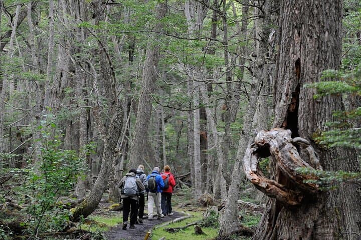 Ushuaia to Lapataia Bay: Scenic Hike and Inflatable Dukies Adventure photo 3