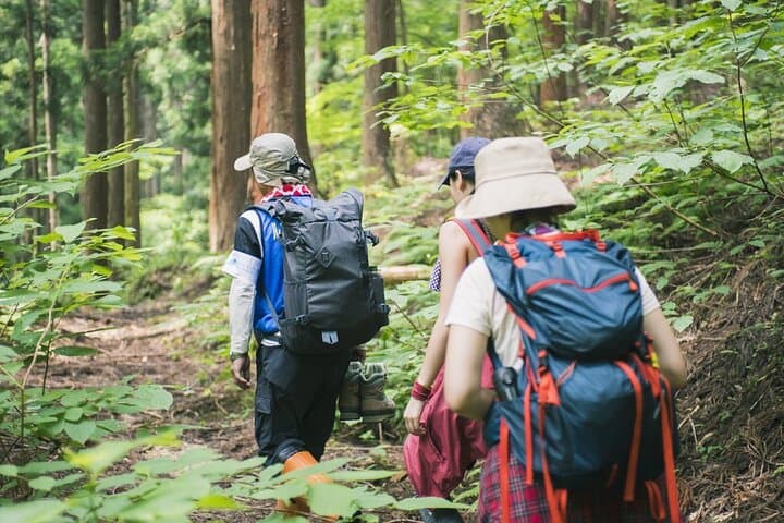 Full-Day Trekking at Bach Ma National Park: Summit, Five Lakes & Do Quyen Waterfall from Hue
