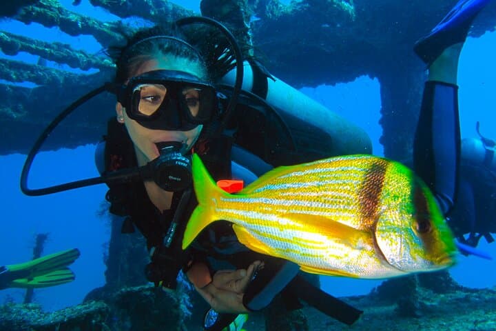 PADI Open Water Diver Course in Cancún — Coconut Divers Certification photo 2