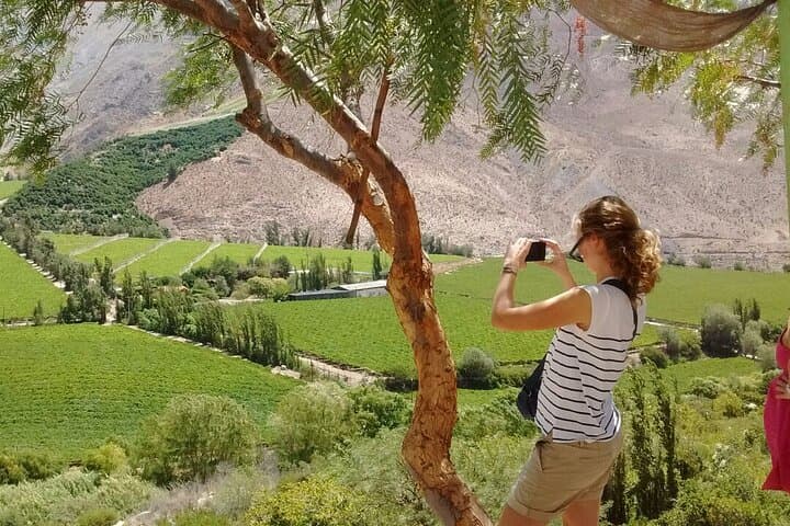 Elqui Valley History and Flavors Day Tour from La Serena photo 4