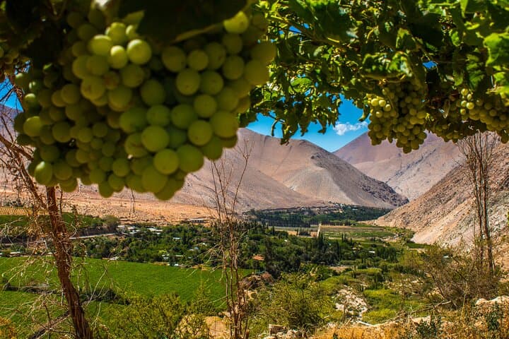 Elqui Valley History and Flavors Day Tour from La Serena photo 5