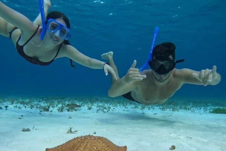 Snorkel El Cielo & Palancar Reefs — 4-Hour Shared Tour from Cozumel photo 2