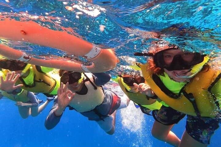 Snorkel El Cielo & Palancar Reefs — 4-Hour Shared Tour from Cozumel photo 5