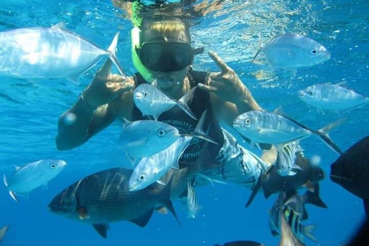 Snorkel El Cielo & Palancar Reefs — 4-Hour Shared Tour from Cozumel photo 6
