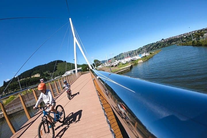 Dunedin Harbour Loop Non-Electric Bike Rental — Self-Serve City & Peninsula Ride photo 2