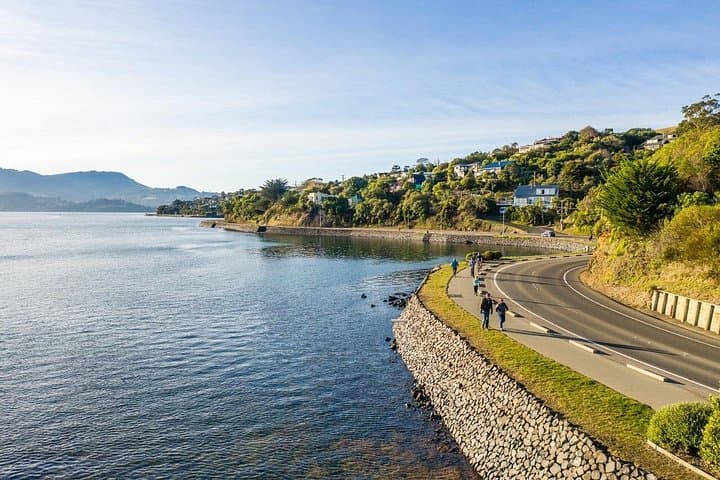 Dunedin Harbour Loop Non-Electric Bike Rental — Self-Serve City & Peninsula Ride photo 4