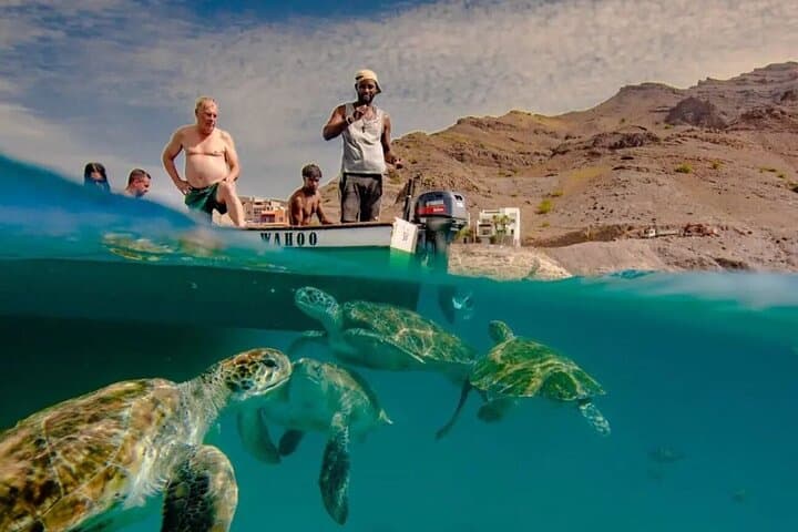 Swim with Rare Sea Turtles in São Pedro Bay — Mindelo Boat Snorkel