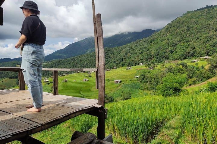 Ban Pa Pong Piang Rice Terraces Day Tour — Doi Inthanon Scenic Drive photo 1