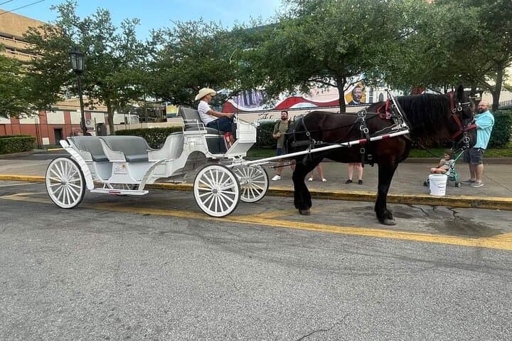 Slow-Roll Through History: Galveston Historical Carriage Tour on The Strand photo 2