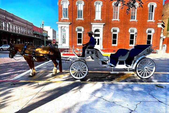 Slow-Roll Through History: Galveston Historical Carriage Tour on The Strand photo 3