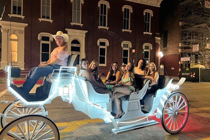 Slow-Roll Through History: Galveston Historical Carriage Tour on The Strand