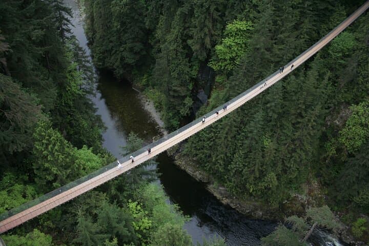 Vancouver Capilano Suspension Bridge & Grouse Mountain Day Tour photo 2