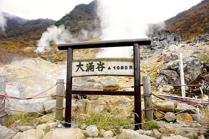 Hakone & Owakudani Day Trip from Tokyo: Lake Ashi Shrine, Volcanic Valleys & Gotemba Outlets photo 4