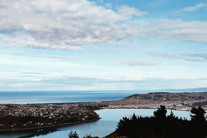 Dunedin Heritage City & Larnach Castle Van Tour with Historian Guide photo 6