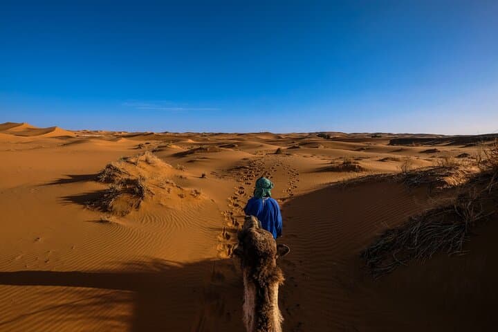 Doha Golden Dune Safari: Dune Bashing, Sandboarding & Inland Sea Adventure photo 2