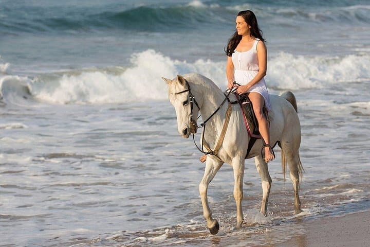 Hurghada Beach Horse Riding: One-Hour Red Sea Coastal & Desert Ride photo 3