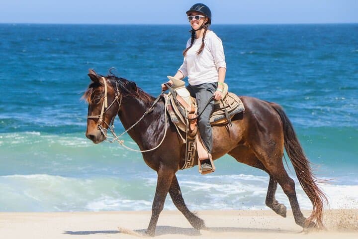 Swim with Horses in Hurghada: Red Sea Horseback Ride & Beach Gallop photo 2