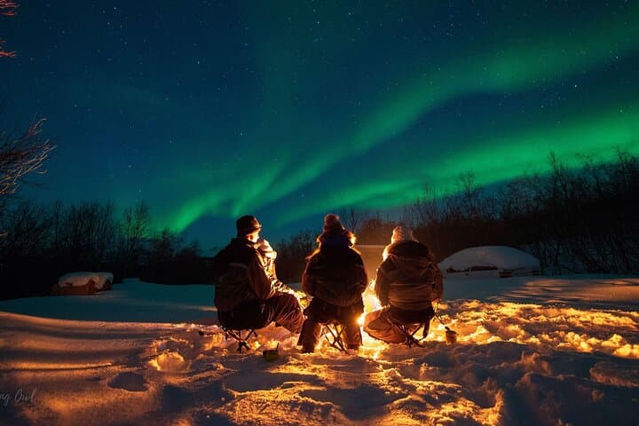 Tromsø Adults-Only Aurora Hunt: Ethical Northern Lights Chase with Citizen Science