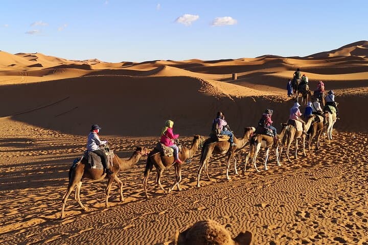 Crossing the Sahara: 15-Day Morocco Desert Expedition from Marrakech photo 6