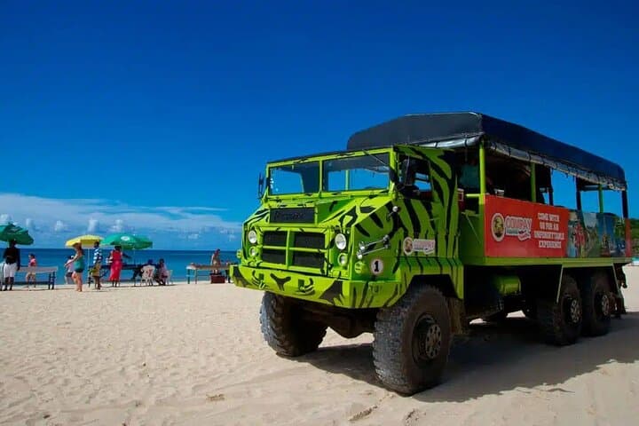 Explore the Wild Side: An Unforgettable Safari Adventure in Punta Cana