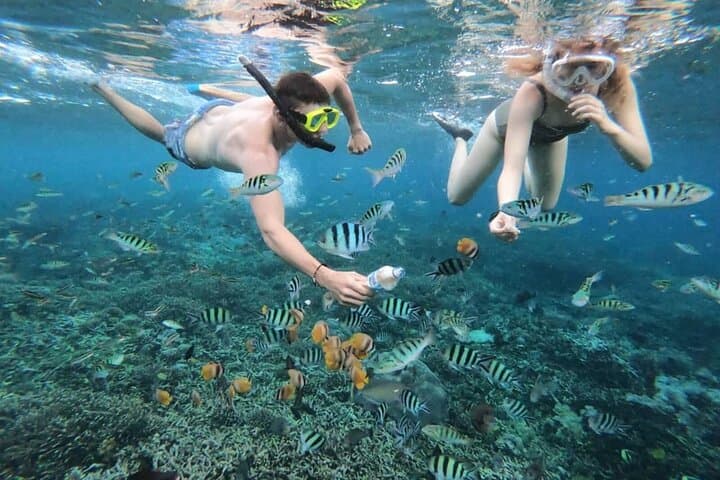 Blue Lagoon Private Snorkel: Bali's East Coast Reefs photo 3