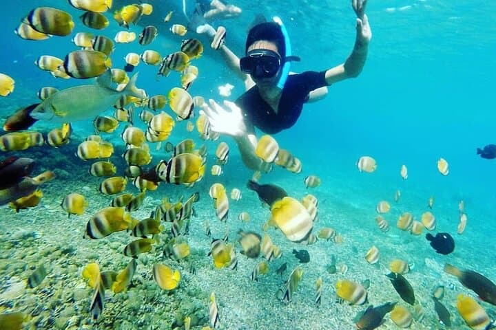 Blue Lagoon Private Snorkel: Bali's East Coast Reefs photo 2
