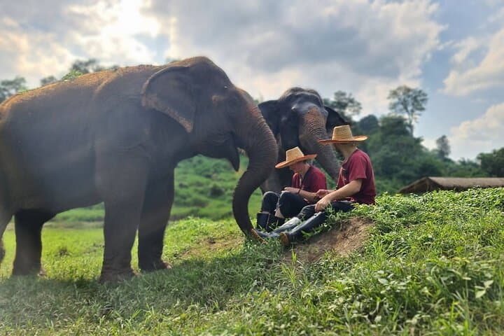 Ran-Tong Half-Day Elephant Experience: Chiang Mai Sanctuary Visit & Mahout School photo 6
