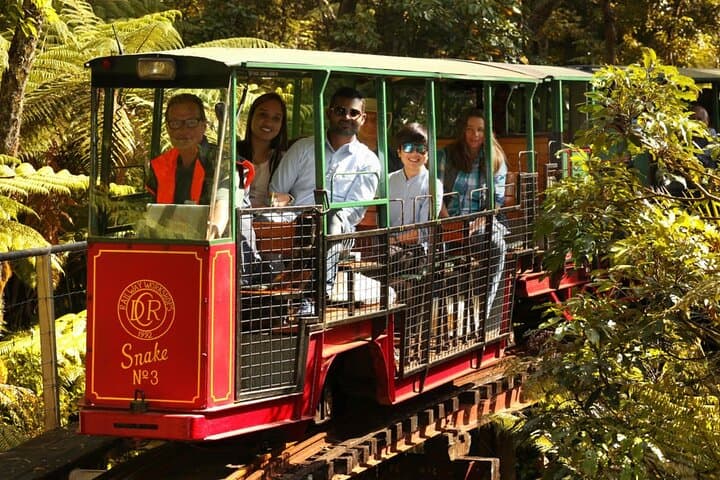 West Coromandel Day Tour: Gold Panning, Driving Creek Railway & Pottery Workshop photo 3