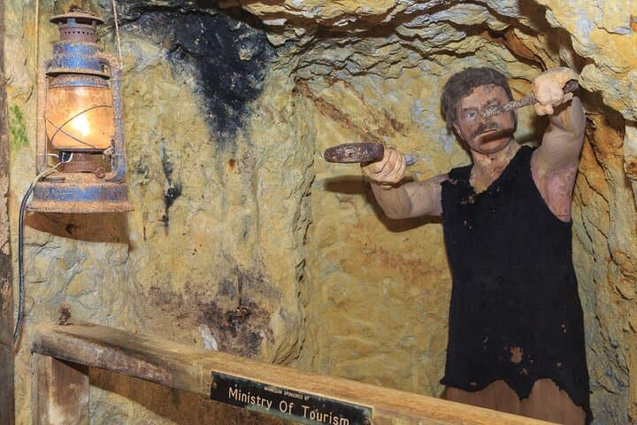 West Coromandel Day Tour: Gold Panning, Driving Creek Railway & Pottery Workshop photo 5