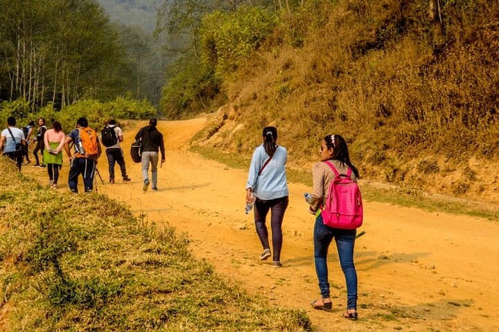 Phulchoki Day Hike: Summit Views & Subtropical Forests Near Kathmandu photo 2