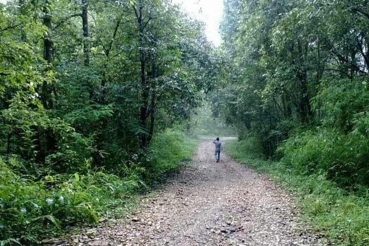 Phulchoki Day Hike: Summit Views & Subtropical Forests Near Kathmandu photo 5