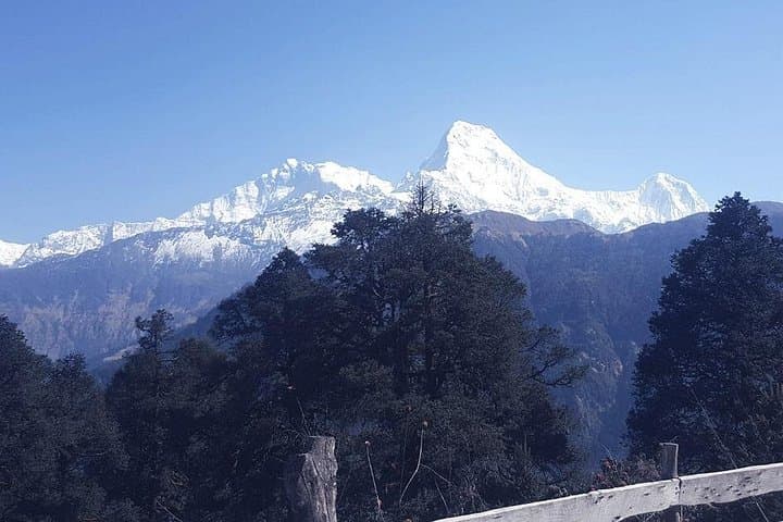 Private Mardi Himal Trek: 5-Day Annapurna Lodge Trek with Female Guide photo 2