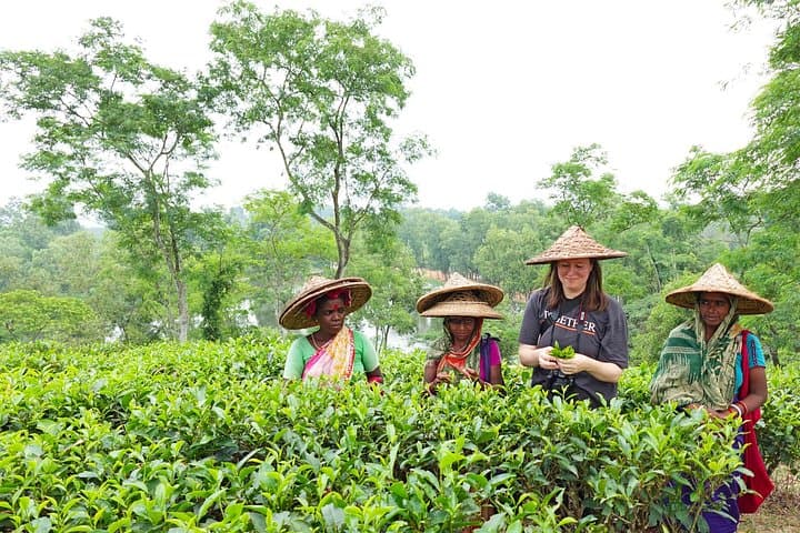 Srimangal 2-Day Nature Escape from Dhaka: Lawachara, Tea Gardens & Madhabpur Lake