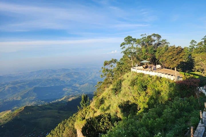 Ella to Lipton's Seat: Private Transfer to Sri Lanka's Tea-Garden Viewpoint