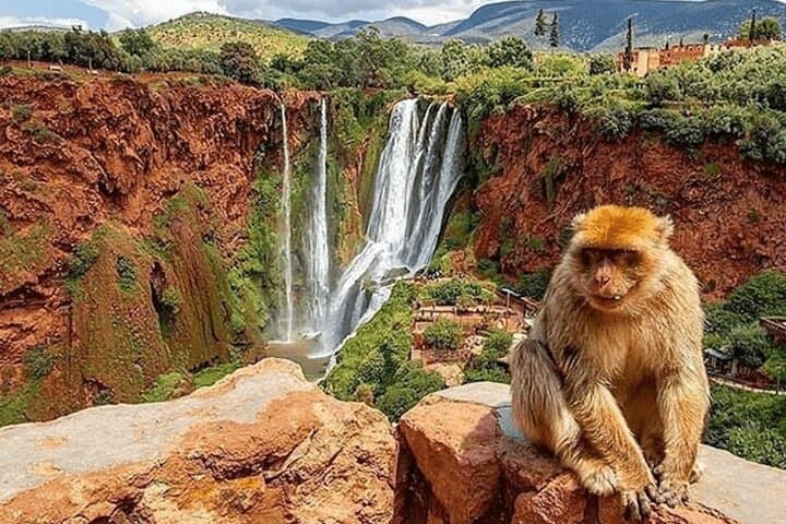 Ouzoud Waterfalls Day Trip from Marrakech: Guided Tour & Optional Boat Ride photo 3
