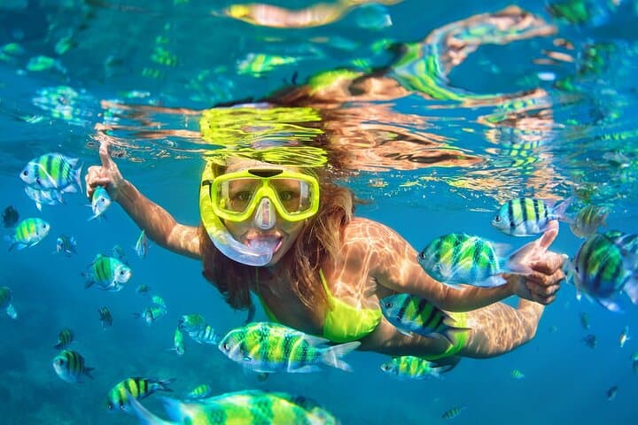 Phi Phi Day Cruise from Phuket: Maya Bay, Snorkeling & Monkey Beach photo 3