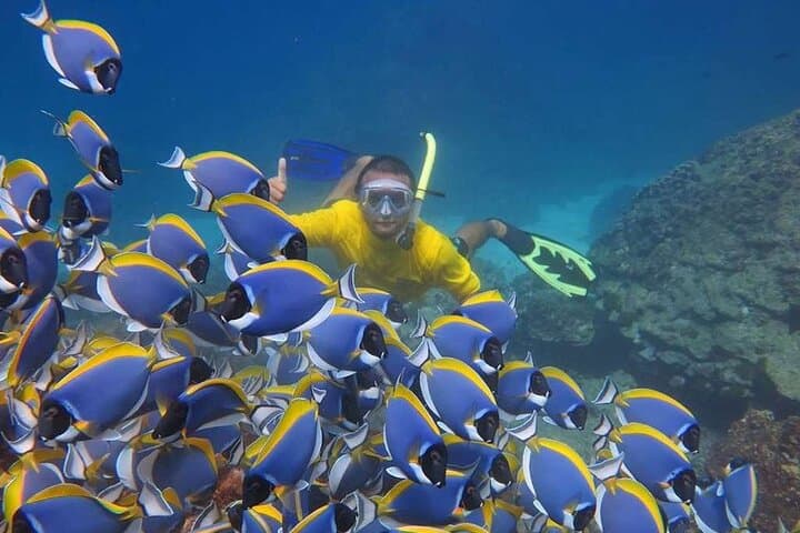 Phi Phi Day Cruise from Phuket: Maya Bay, Snorkeling & Monkey Beach photo 5