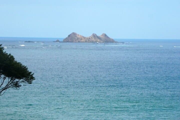 Whale and Dolphin Watching at Marino Ballena — Boat Tour from Manuel Antonio photo 4