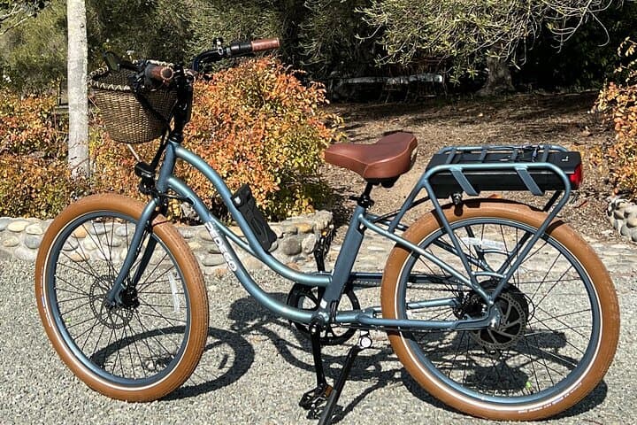 E-Bike Wine Country: Pedego Rentals at Concannon Vineyard, Livermore photo 2
