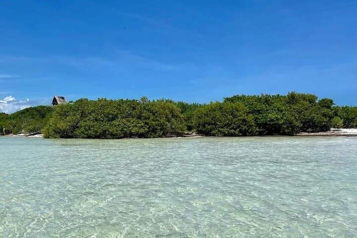 Holbox Three-Island Boat Tour: Punta Mosquito, Isla Pájaros & Isla de la Pasión photo 2