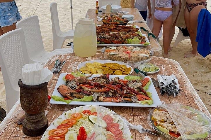 Private 3-Day Tour to Bahía de las Águilas from Punta Cana photo 6