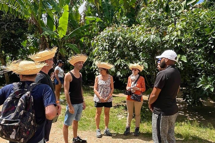 2-Day Coffee Route: Larimar Mines, Beaches & Farm-to-Cup Experience photo 5