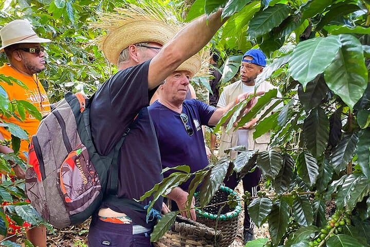 2-Day Coffee Route: Larimar Mines, Beaches & Farm-to-Cup Experience