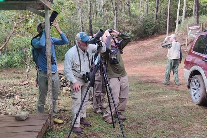 2-Day Bird Watching Tour in the Sierra de Bahoruco — Guided Wildlife & Photography