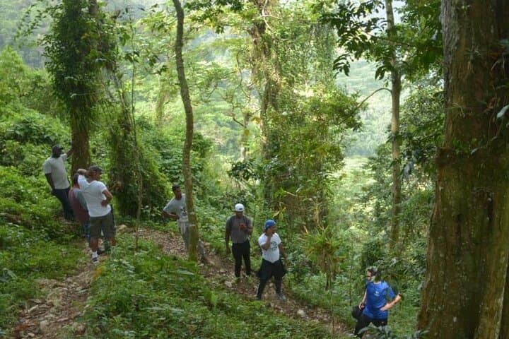 2-Day Bird Watching Tour in the Sierra de Bahoruco — Guided Wildlife & Photography photo 6
