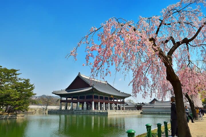 Full-Day Private Seoul Tour: Gyeongbokgung, Insadong & Namsangol Hanok Village