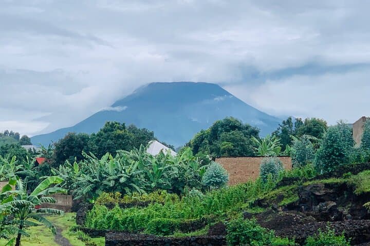 3-Day Private Gorilla Trek Through Rwanda's Five Volcanoes photo 4