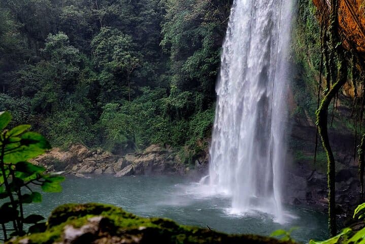 Agua Azul, Misol-Há & Palenque Day Trip from San Cristóbal: Blue Waterfalls and Maya Ruins photo 3